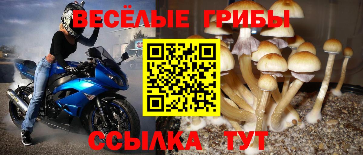 Галлюциногенные грибы ЛСД Подольск